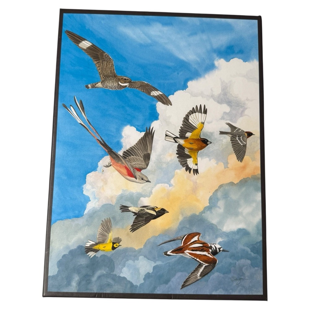Julie Zickefoose Fantasy Flock 1000 Pc Puzzle Galison Birds Art Jigsaw Game